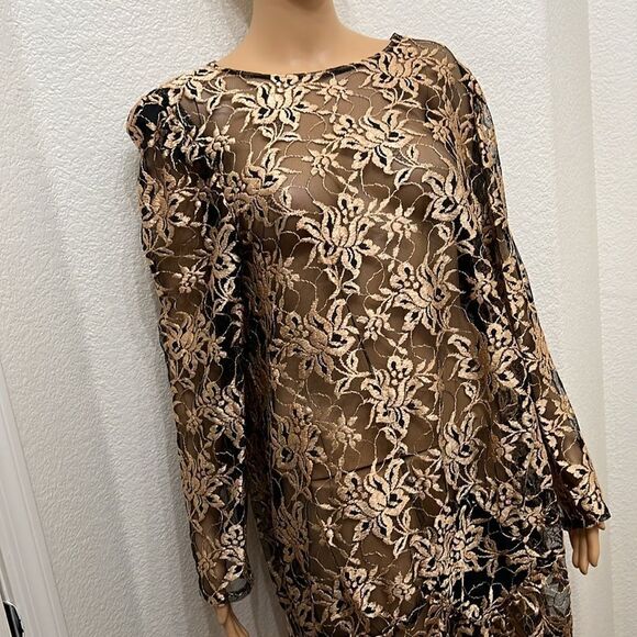 David Rose Sz 16 1/2 Top Tunic Scoop Neck Long Sleeve Floral Sheer Embroidered - Picture 2 of 9